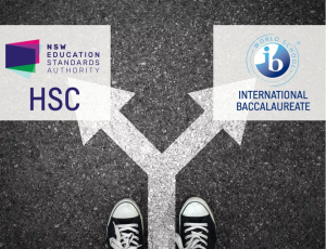 Singapore International School Consultants-HSE vs IB