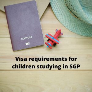 Singapore International School Consultants-Visa Requirements